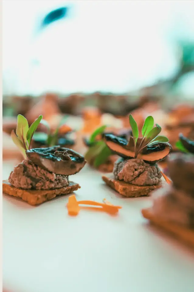 Canapés gourmet degustación catering Canning